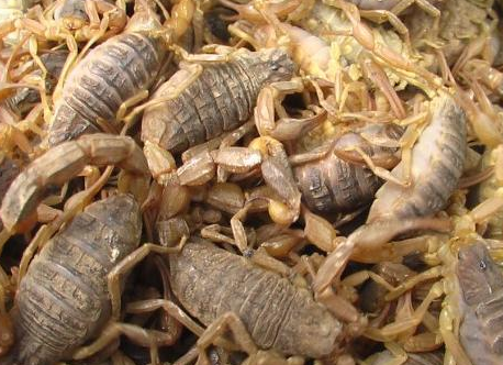 合肥小區開荒保潔要注意哪些事項呢?